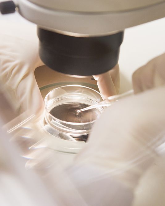 A lab technician with a microscope and petri dish